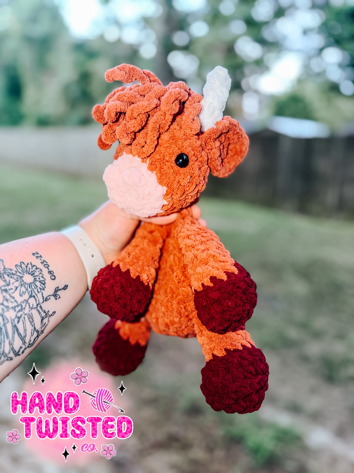 HighLand Cow