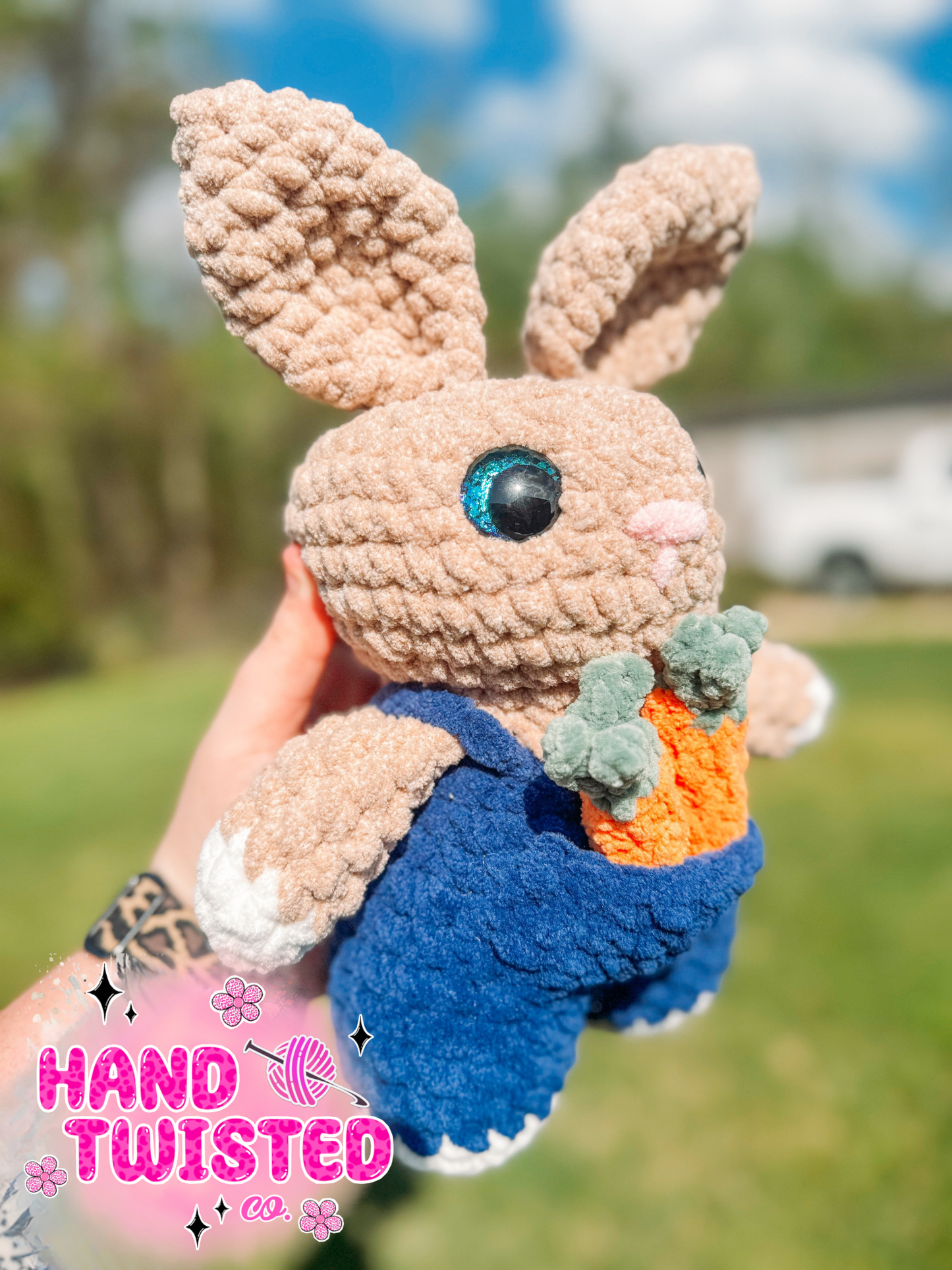 Jack Rabbit