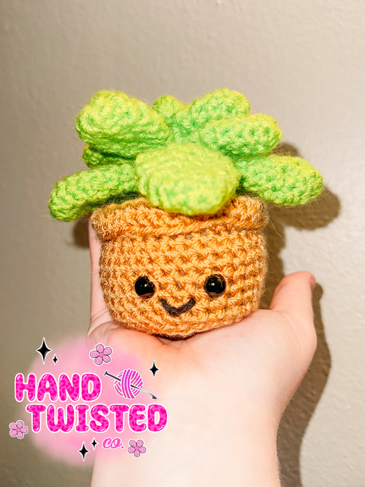 Mini Succulent